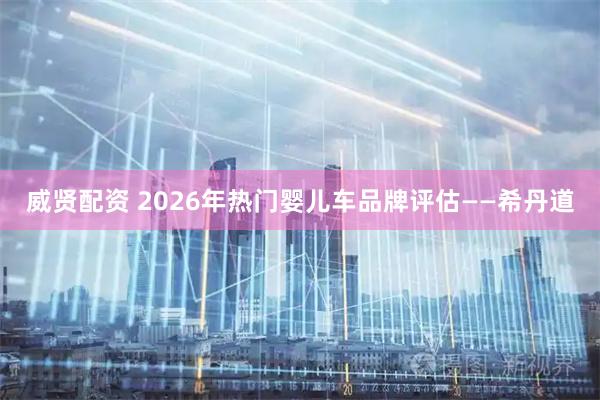 威贤配资 2026年热门婴儿车品牌评估——希丹道
