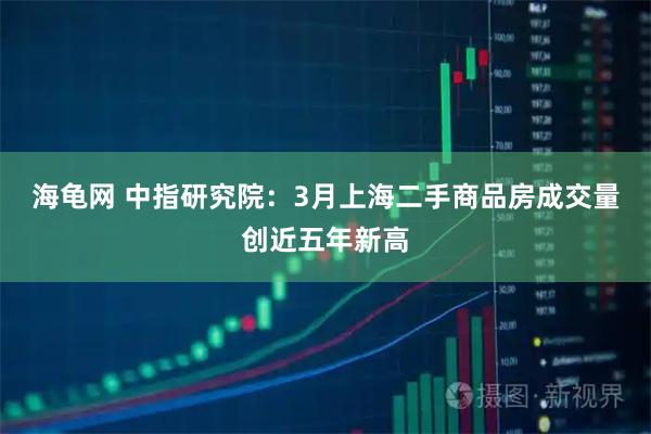 海龟网 中指研究院：3月上海二手商品房成交量创近五年新高